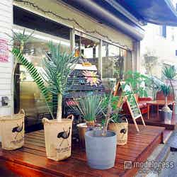 ゆっくり食事が出来そうな「anea cafe」/画像提供:anea cafe