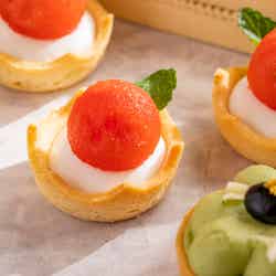 Splash Tart Gallery/画像提供:ヒルトン小田原リゾート&スパ