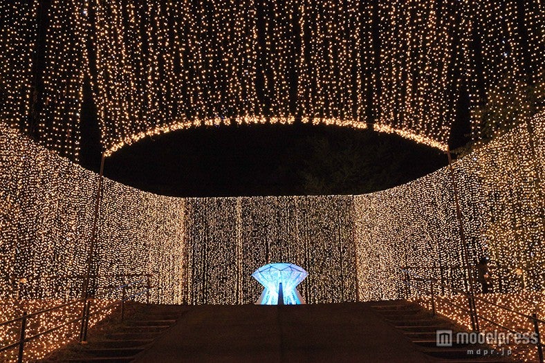 「さがみ湖イルミリオン」／画像提供：富士急行