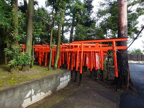 朱い鳥居がいっぱい（提供画像）