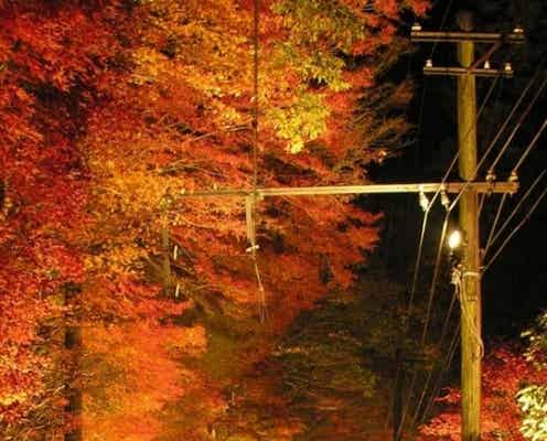 京都・貴船で紅葉ライトアップ「貴船もみじ灯篭」洛北の夜が秋色に染まる