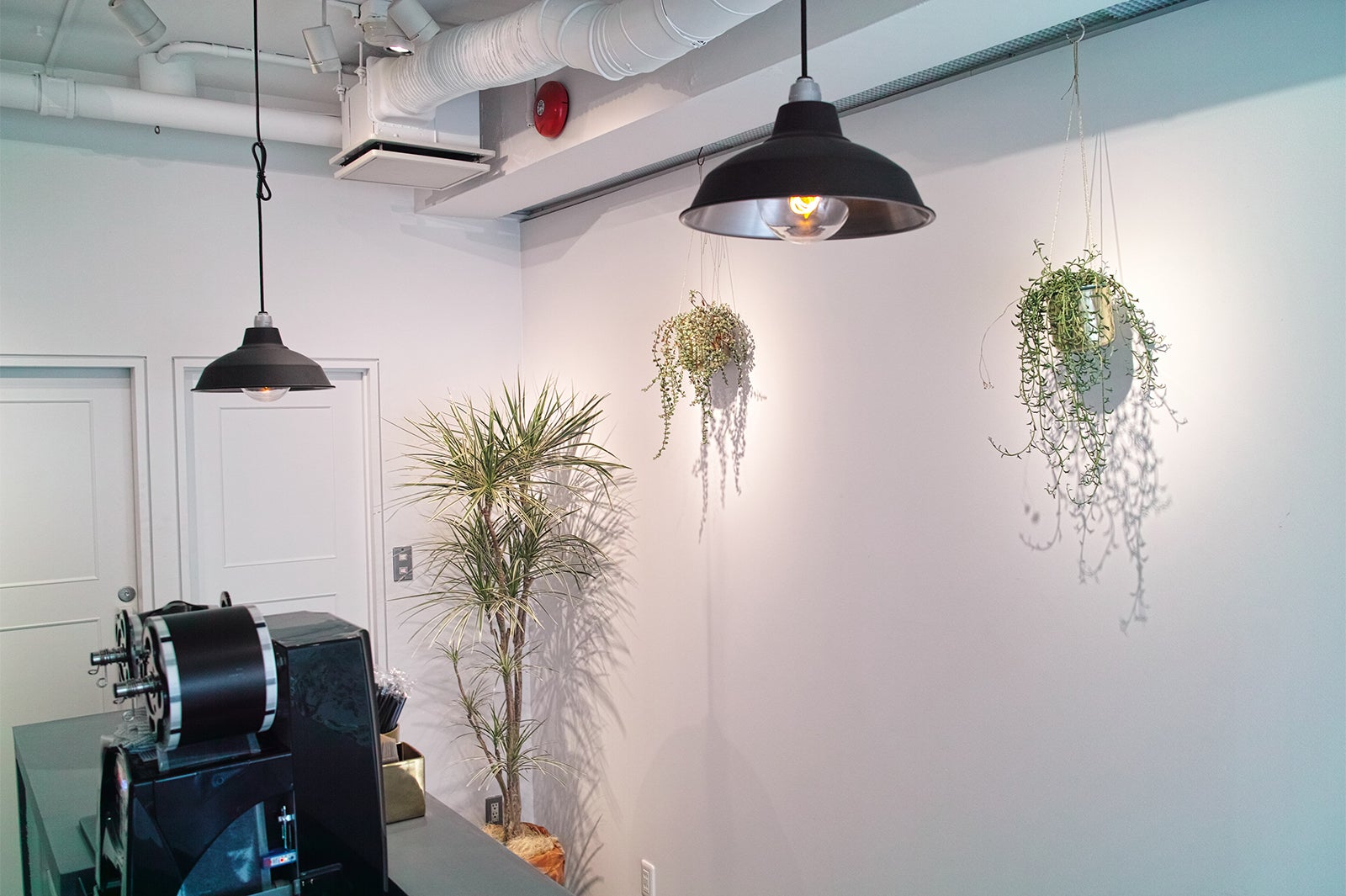 コンマティー（提供画像）