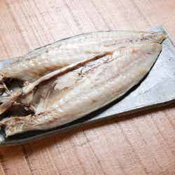 もの凄い鯖/画像提供:TONTON