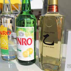 今回試飲対象品となった（左から）「JINRO DRY」「JINRO GRAPEFRUIT」「Premium JINRO 乙」