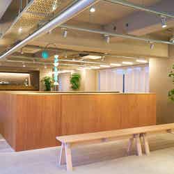 タカオネ/画像提供:京王電鉄