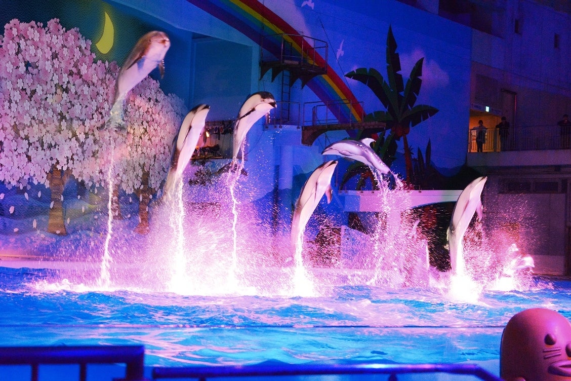 海の動物たちのショー～春唄～／画像提供：横浜八景島