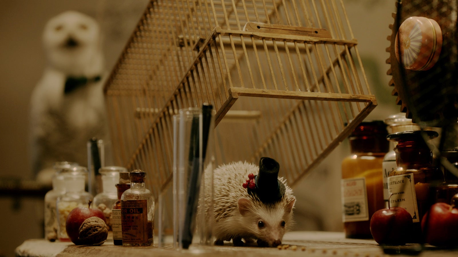 玉城ティナと共演したハリネズミ