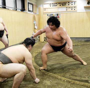 大相撲の19歳ホープが十代関取目指す、竜鳳「上がれるなら早い方がいい」