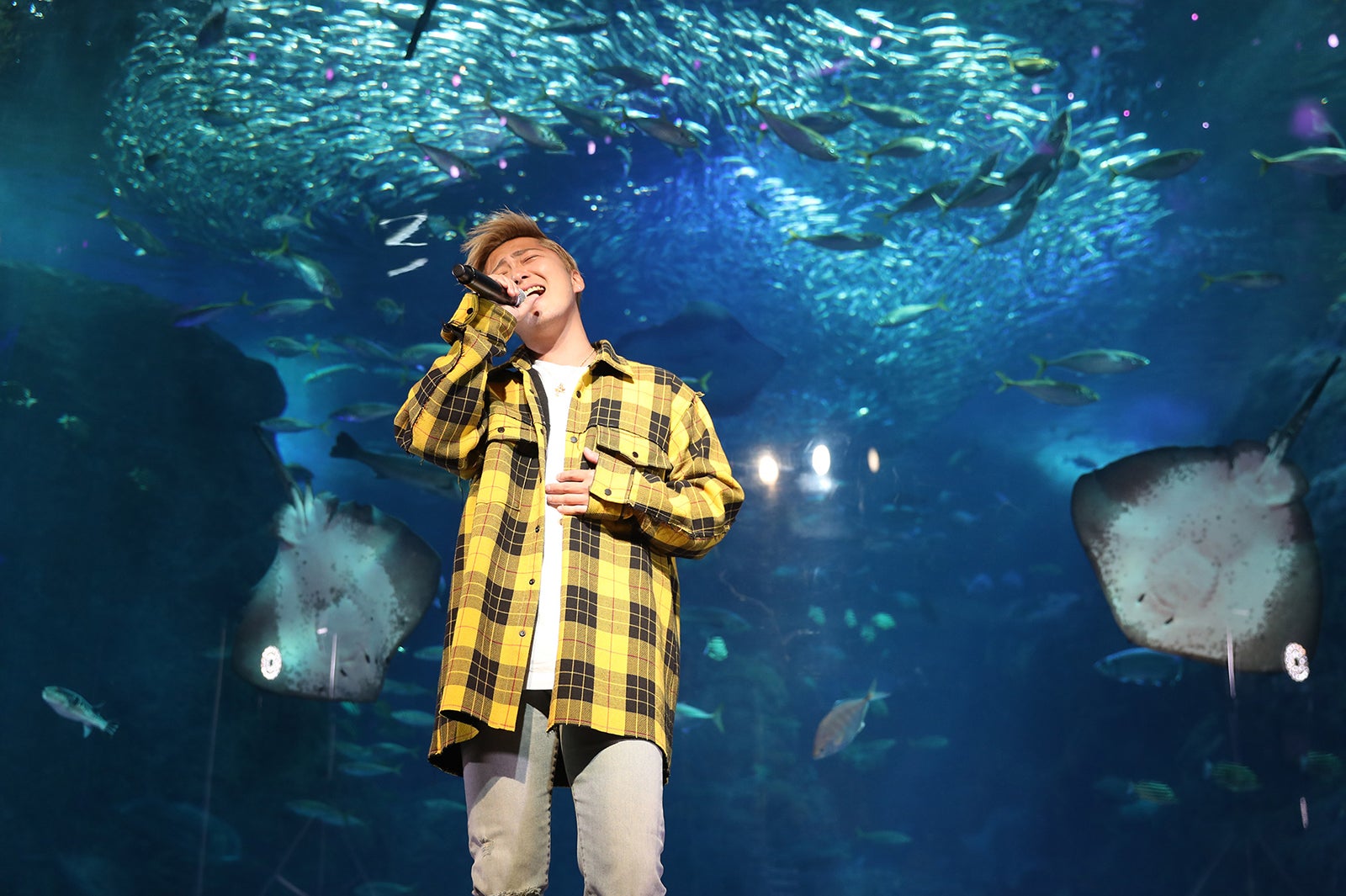 大野雄大／撮影：gaku