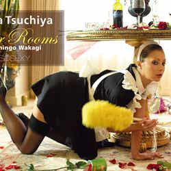 「SOSEXY 土屋アンナ “Four Rooms” by Shingo Wakagi」(2012年2月22日発売)/(C)LUCENT PICTURES ENTERTAINMENT, INC.