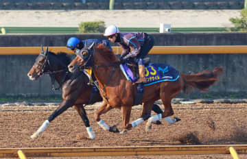 【有馬記念】ダノンデサイル ダイナミックなフォームで駆けた 前走のアクシデント心配なし