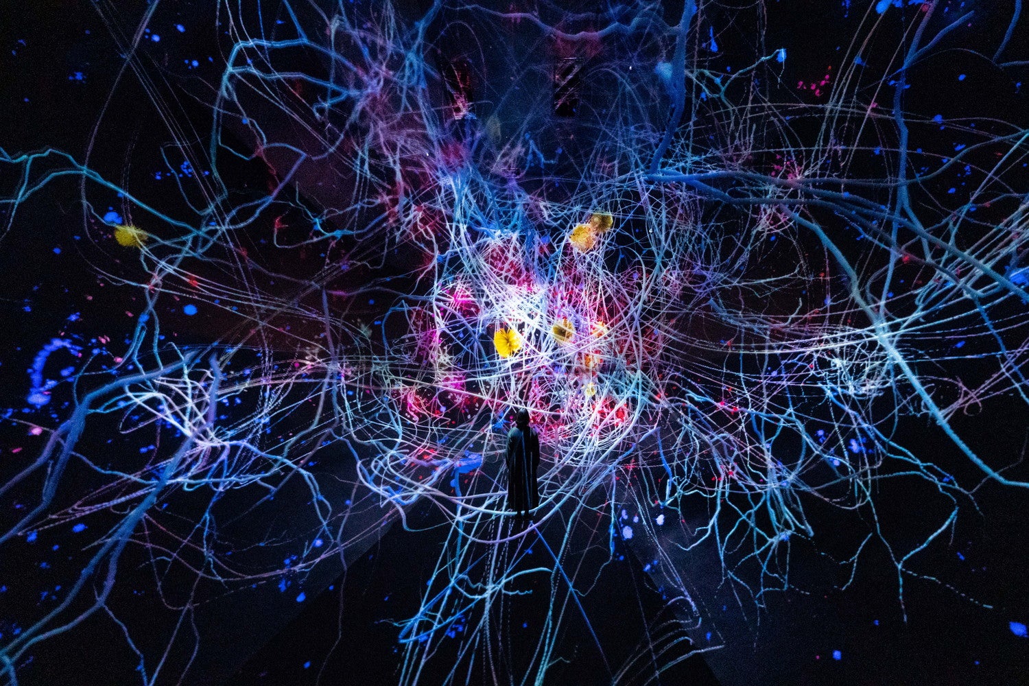 チームラボ《Trails of Life - Transcending Space in All Directions》（C）チームラボ