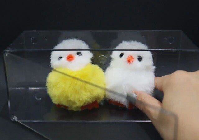 ダイソーの壁にも付けられるディスプレイケース(1段)2 ダイソーの壁にも付けられるディスプレイケース(1段)2