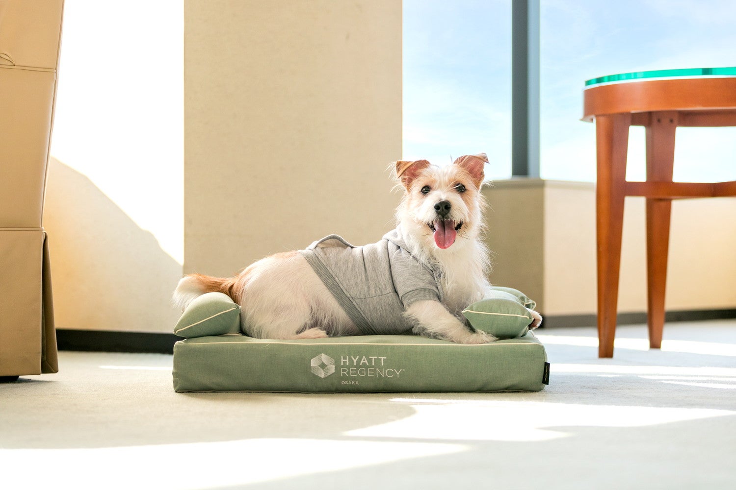 愛犬用ベッド／画像提供：ハイアット リージェンシー 大阪