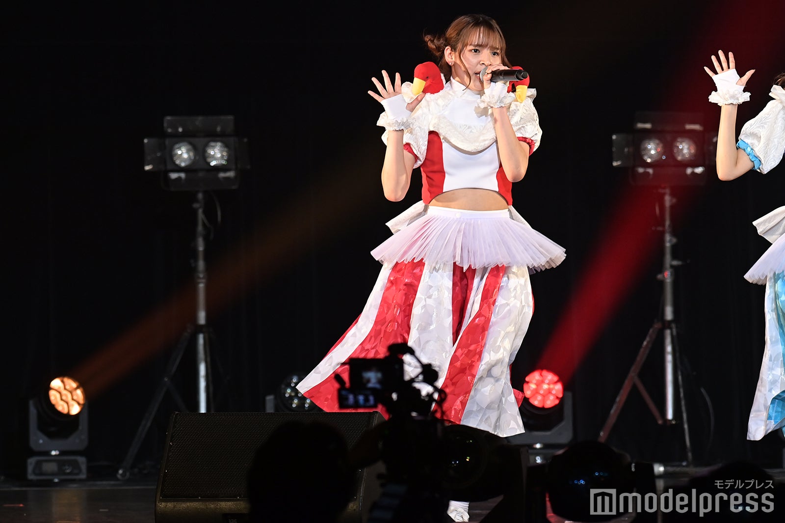 豆柴の大群（C）モデルプレス