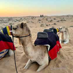 砂漠ツアー(C)モデルプレス