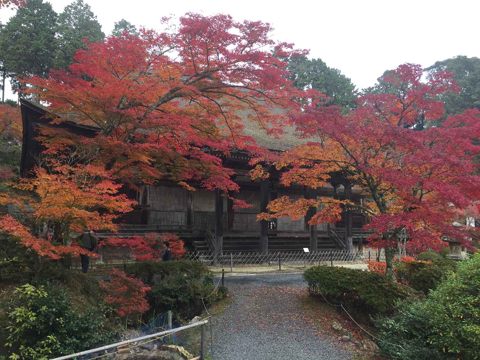 常楽寺／画像提供：公益社団法人びわこビジターズビューロー