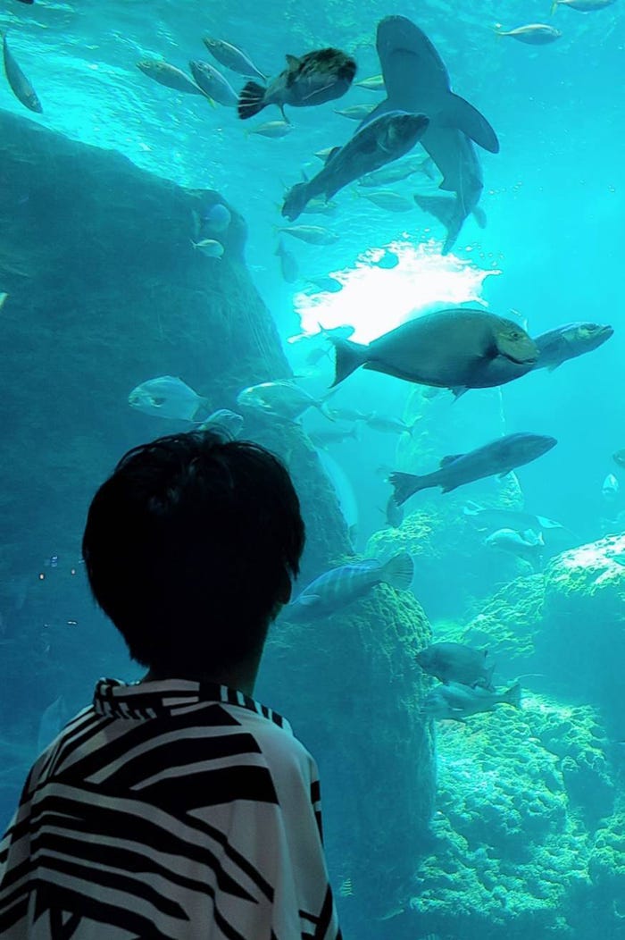 郡司陸永「聖地巡礼 そして江ノ島へ」(提供写真)