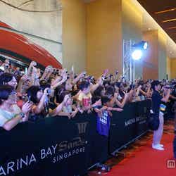 映画「謎解きはディナーのあとで」レッドカーペット