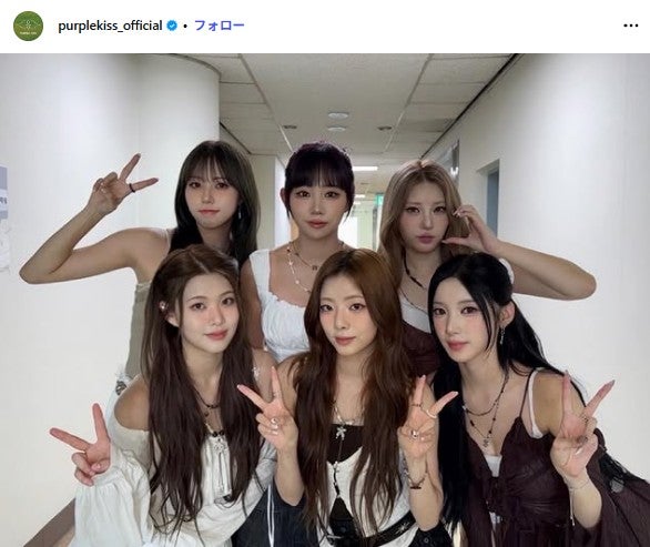 purple kiss パープルキス パキ イレ セット purple kiss パープルキス パキ イレ セット PURPLE KISS (퍼플