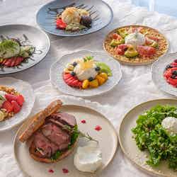 アンドヨーグルト/提供画像