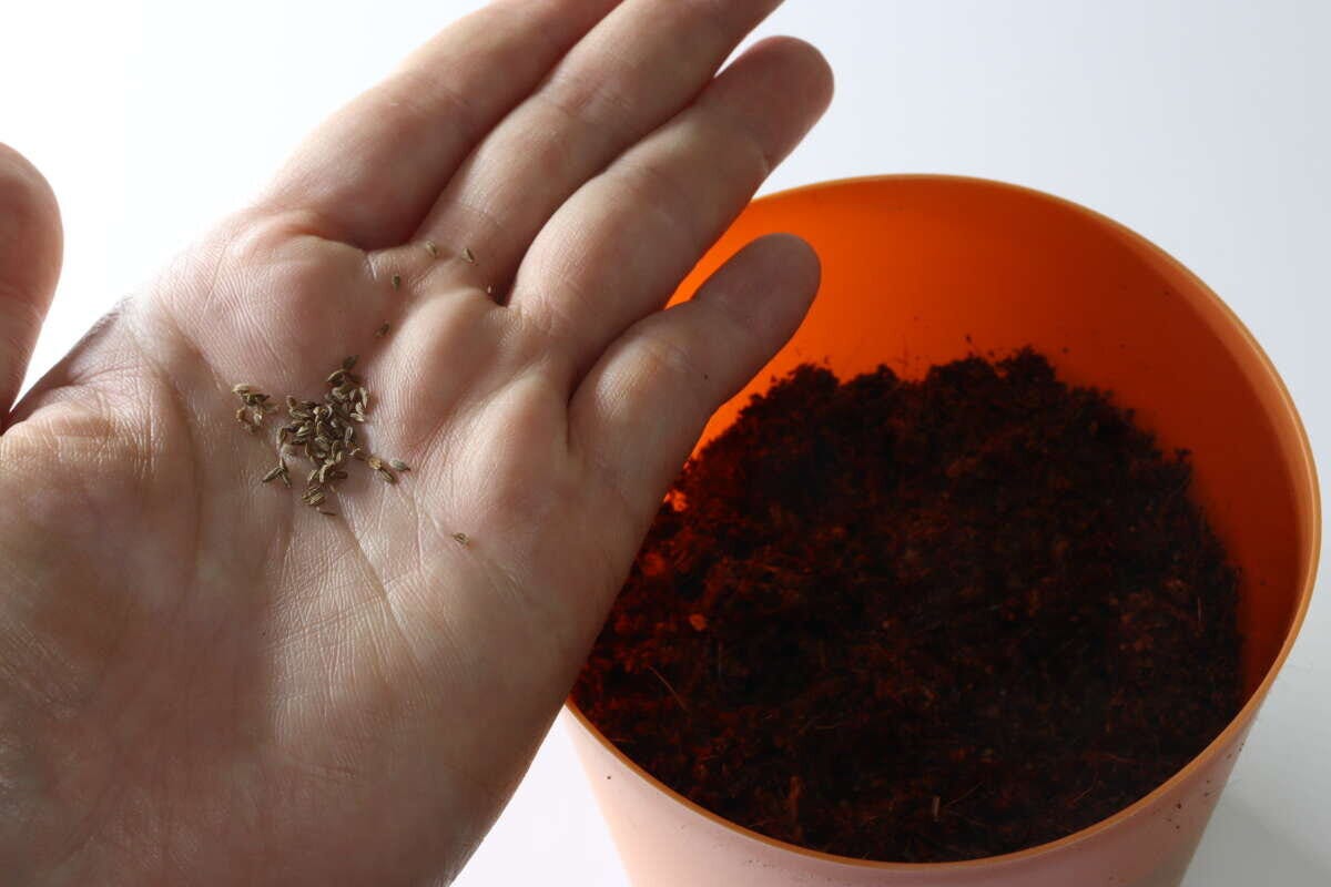 栽培セット 栽培セット