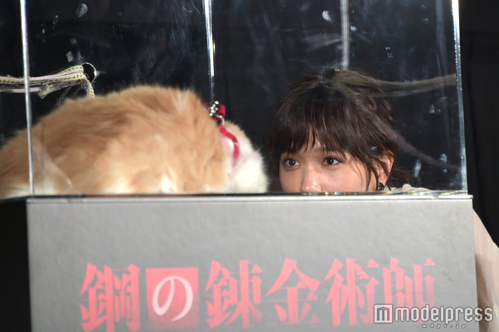 本田翼 （C）モデルプレス