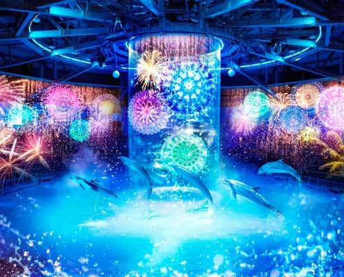 「アクアパーク品川」海の世界でデジタル花火輝く “新感覚”ドルフィンパフォーマンスでも魅了