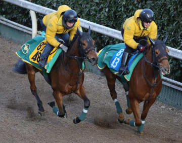 【小倉牝馬S】ココナッツブラウン エネルギー満ちあふれた脚さばき 上村師「微調整程度で、いい感じでしたね」と納得
