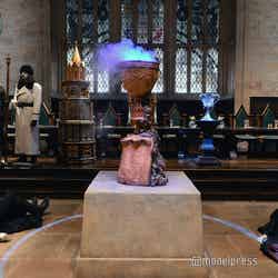 炎のゴブレット/ワーナー ブラザース スタジオツアー東京 – メイキング・オブ・ハリー・ポッター(C)モデルプレス