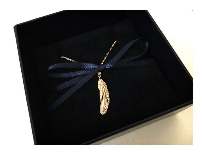 プレゼントのネックレス/鈴木奈々オフィシャルブログ(LINE)より