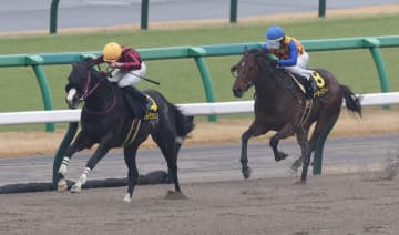 【師走S】ブライアンセンス 6馬身差圧勝劇 トップハンデもなんの！岩田望「強い勝ち方ができた」