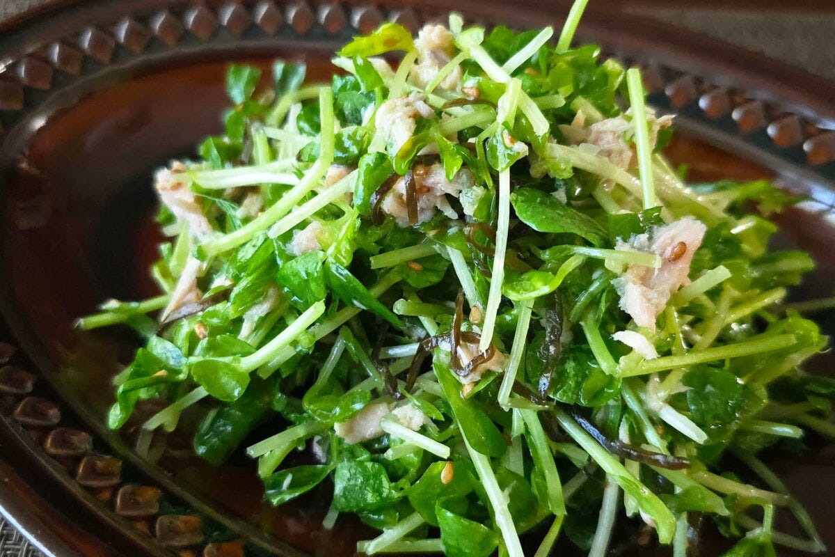 豆苗のおつまみサラダ