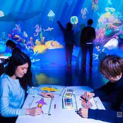 「お絵かき水族館/Sketch Aquarium」/画像提供:新江ノ島水族館