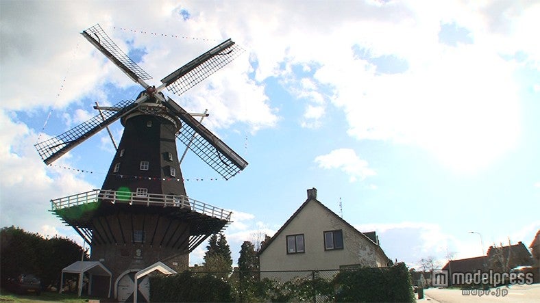 「世界の日本人妻は見た」オランダの日本人妻／画像提供：毎日放送