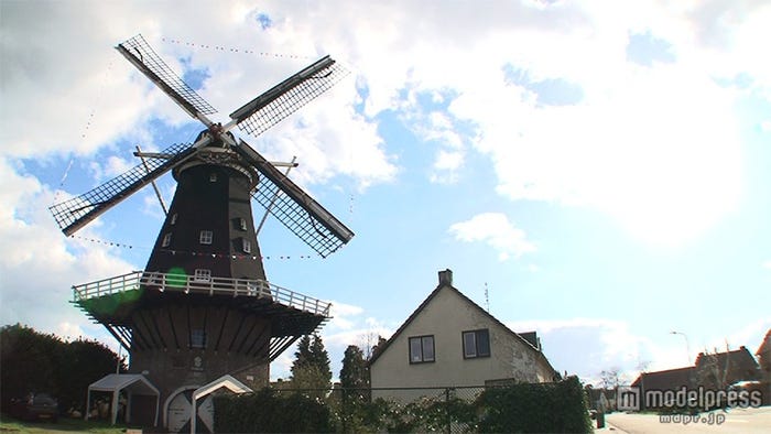 「世界の日本人妻は見た」オランダの日本人妻/画像提供:毎日放送