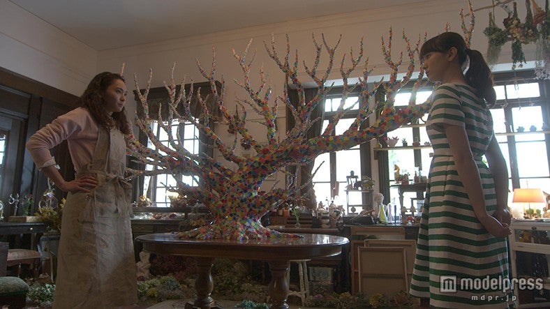 新垣結衣の“姉妹”が登場　進化の謎に迫る