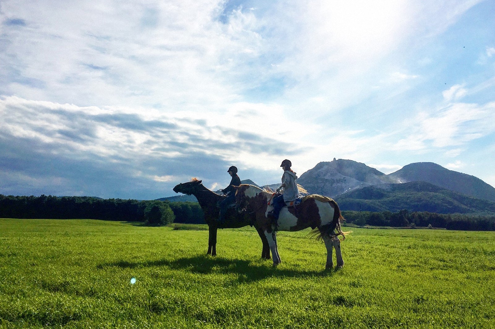 川湯パーク牧場／画像提供：TBS