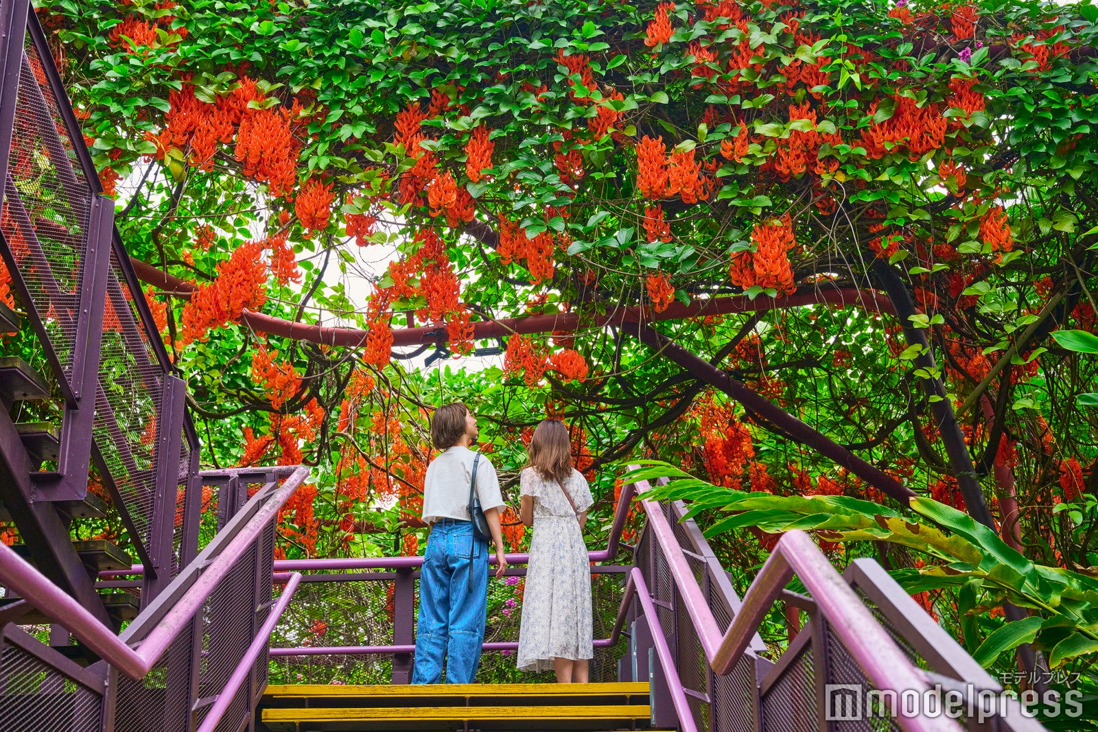 ガーデンズ・バイ・ザ・ベイ（C）モデルプレス