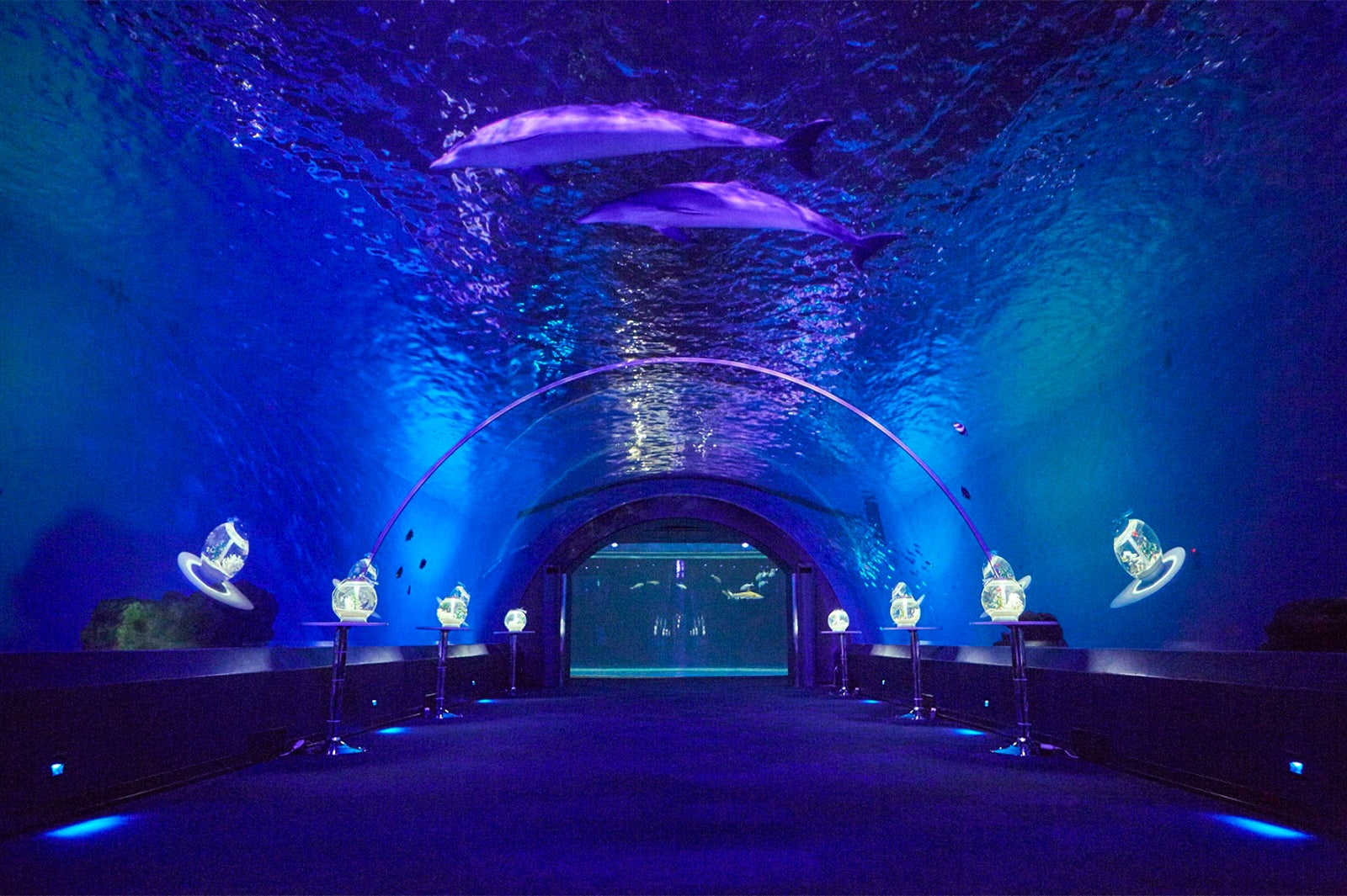 NOCTURNAL LOUNGE／画像提供：横浜八景島