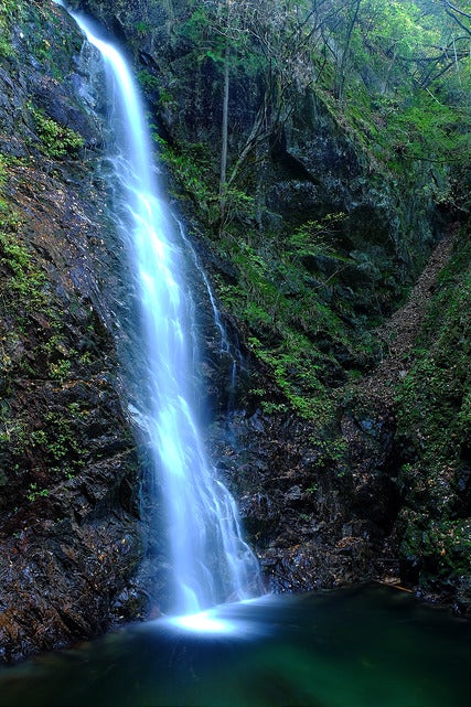 払沢の滝 by jamin96