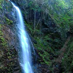 払沢の滝 by jamin96