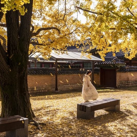 人生の教訓を教えてくれる韓国のことわざ特集 座右の銘にしたい名言をチェック モデルプレス