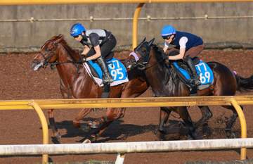 【小倉記念】ガイアメンテ絶好調 ラスト鋭伸1馬身先着 重賞初制覇へ「いい状態でレースに向かえそう」
