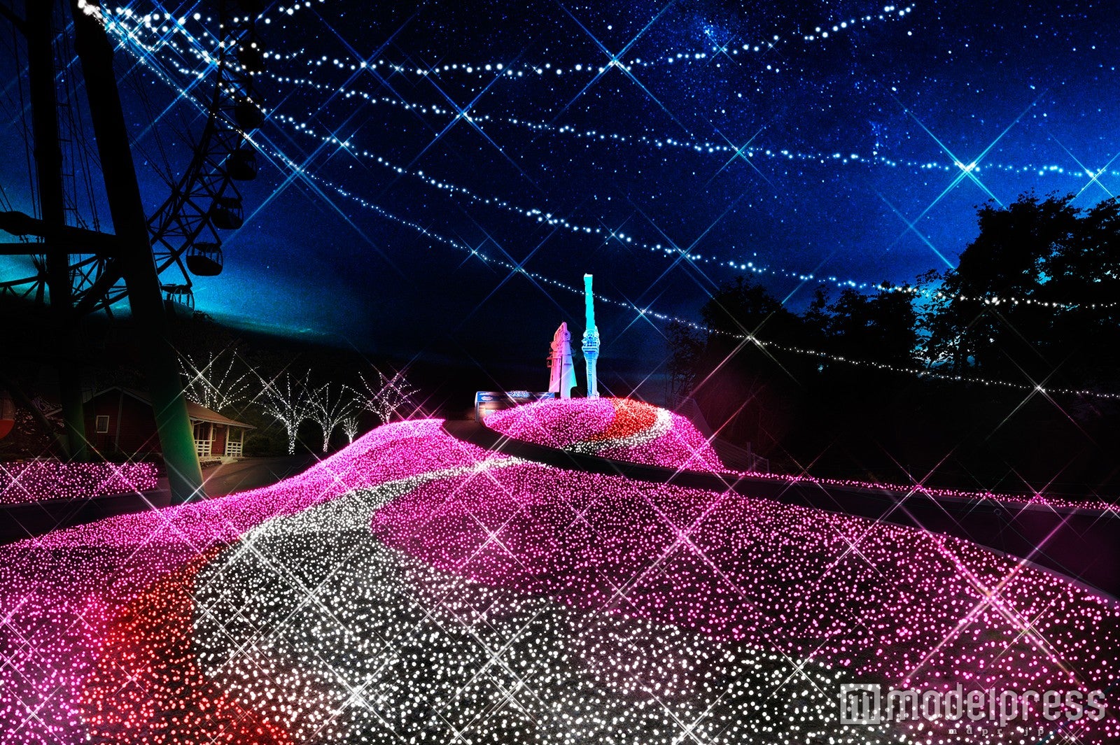 光の花畑／画像提供：富士急行