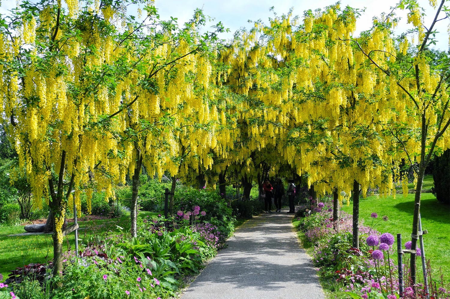 乙女心くすぐる春カナダ。美食&絶景花畑が誘う2大観光都市へ