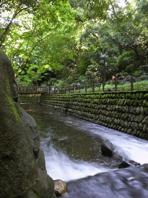 等々力渓谷／Photo by hirosakurai