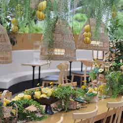 HANA・BIYORI/画像提供:よみうりランド