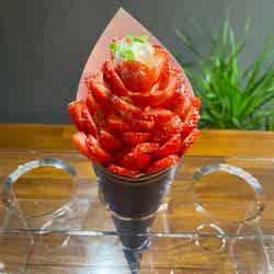 ⼤阪ストロベリーフェスティバル/提供画像