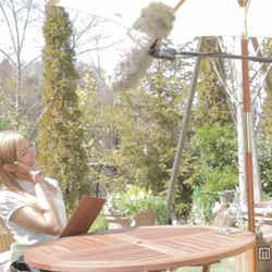 ローラ/「サッポロ ホップ畑の香り」テレビCM「鼻にホップ」篇メイキングショット